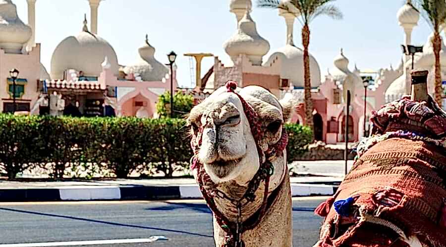 Vizesiz Sharm el-Sheikh Turu