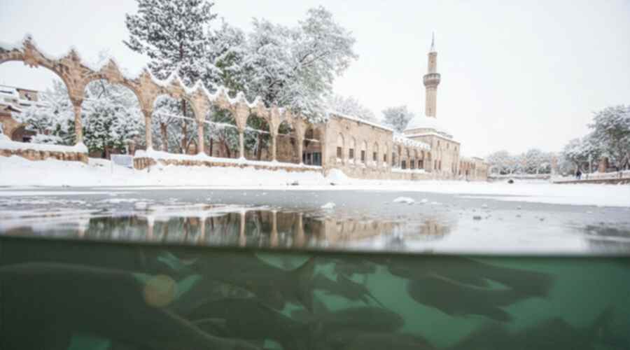 Butik Urfa Antep Turu