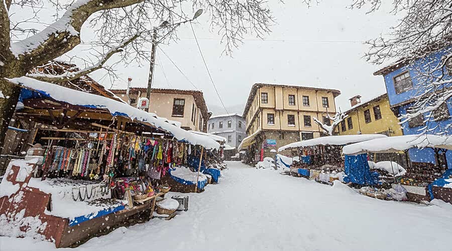Bursa Çanakkale Turu