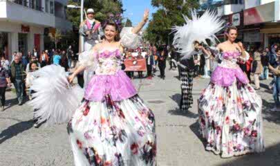 Badem Çiçeği Festivali
