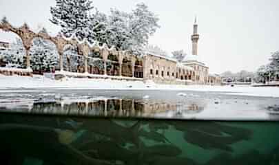 Butik Urfa Antep Turu