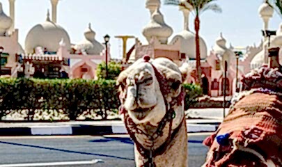 Vizesiz Sharm el-Sheikh Turu