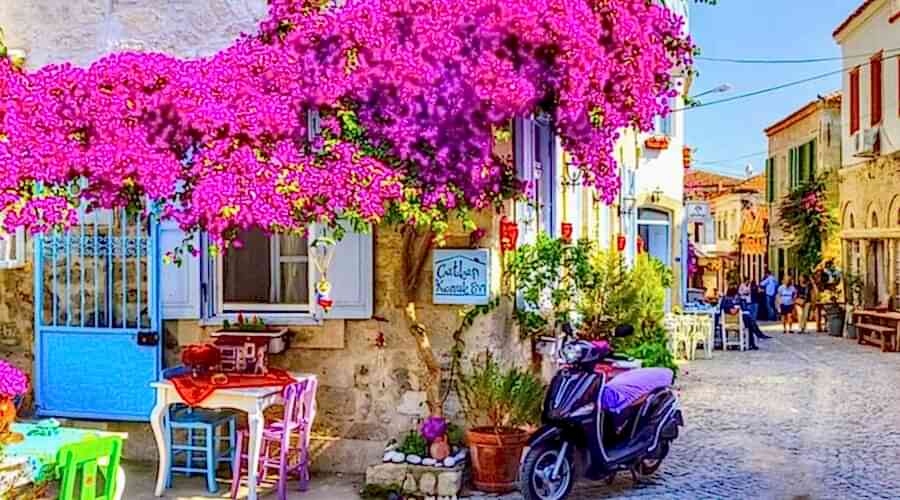 Karaburun Nergis Zamanı ve Domatia Rum Köyü, Karina Sahili